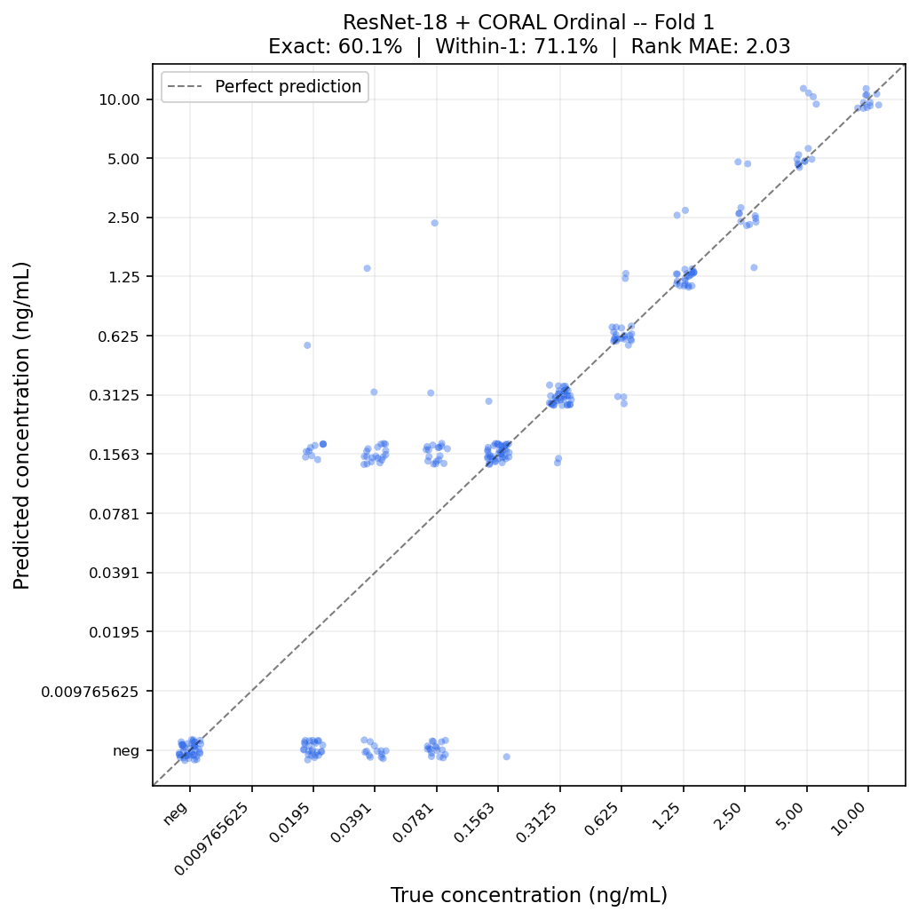 v2 ResNet-18 + CORAL ordinal predictions vs ground truth, fold 1